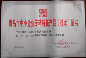 專精特新 示范企業(yè)